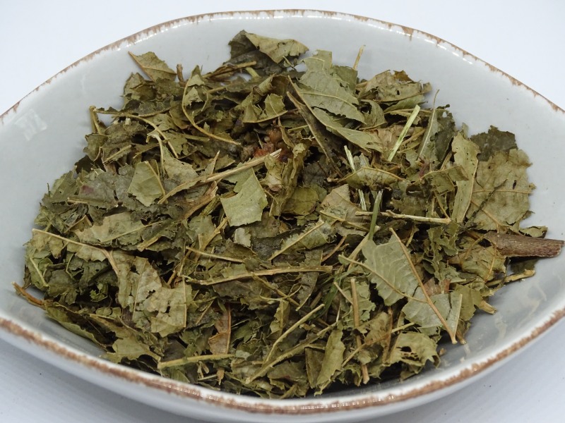Hamamelis Blätter bio